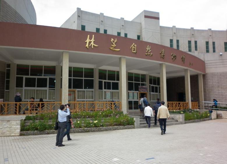 发展历程